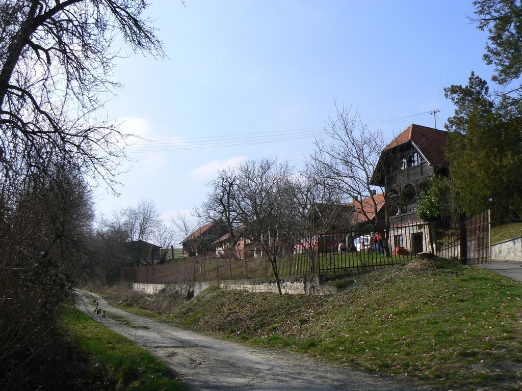 Country House Stoljetna Vila Hostal Seona Exterior foto