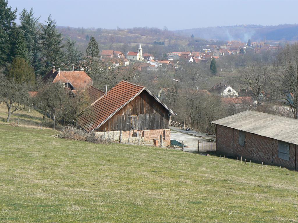 Country House Stoljetna Vila Hostal Seona Exterior foto