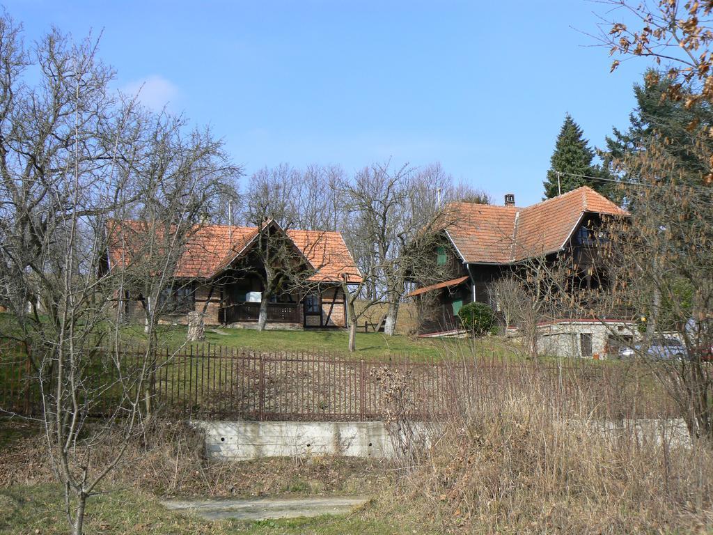 Country House Stoljetna Vila Hostal Seona Exterior foto